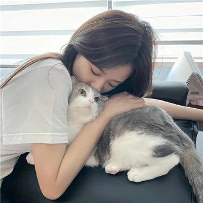 从前有个傻子特工